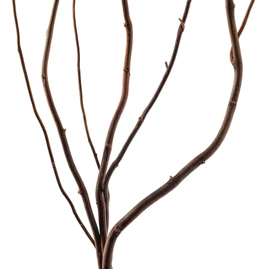 12 Pack: Natural Curly Willow by Ashland®